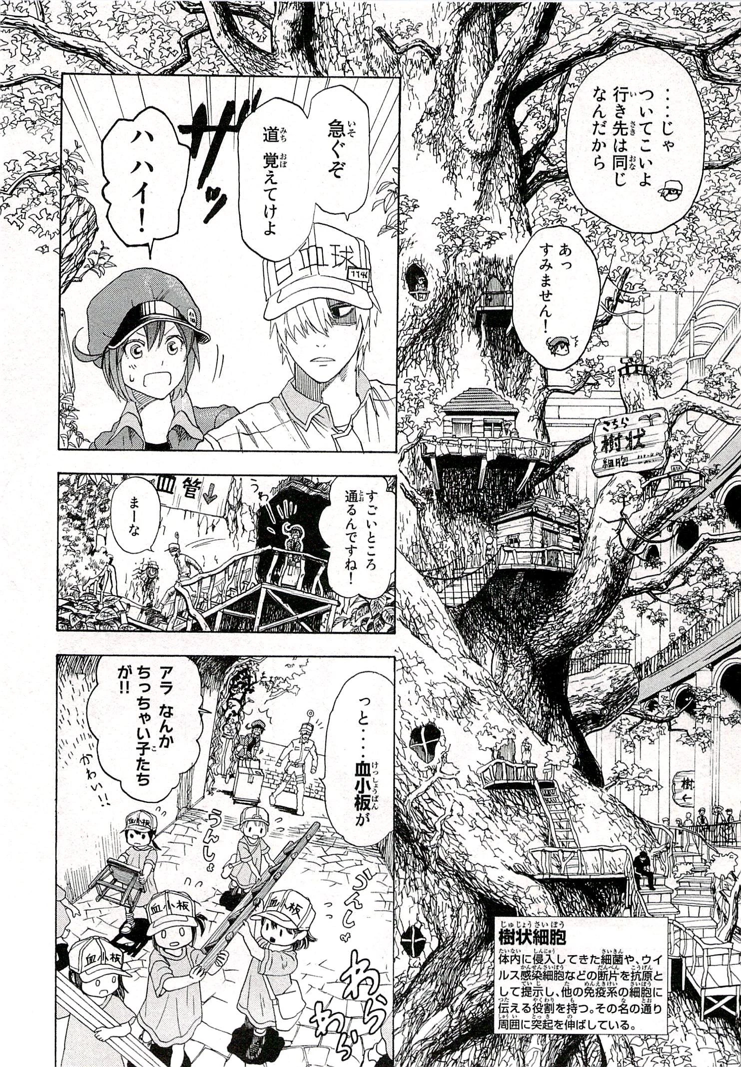 はたらく細胞 第1話 - 22