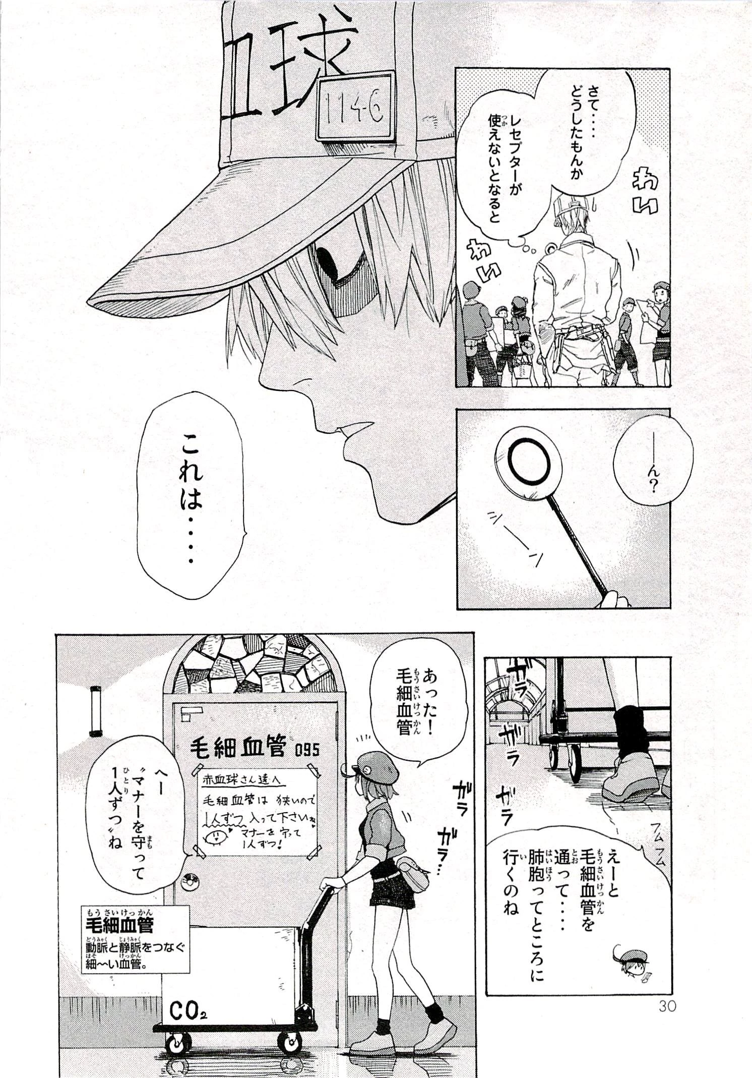 はたらく細胞 第1話 - 30