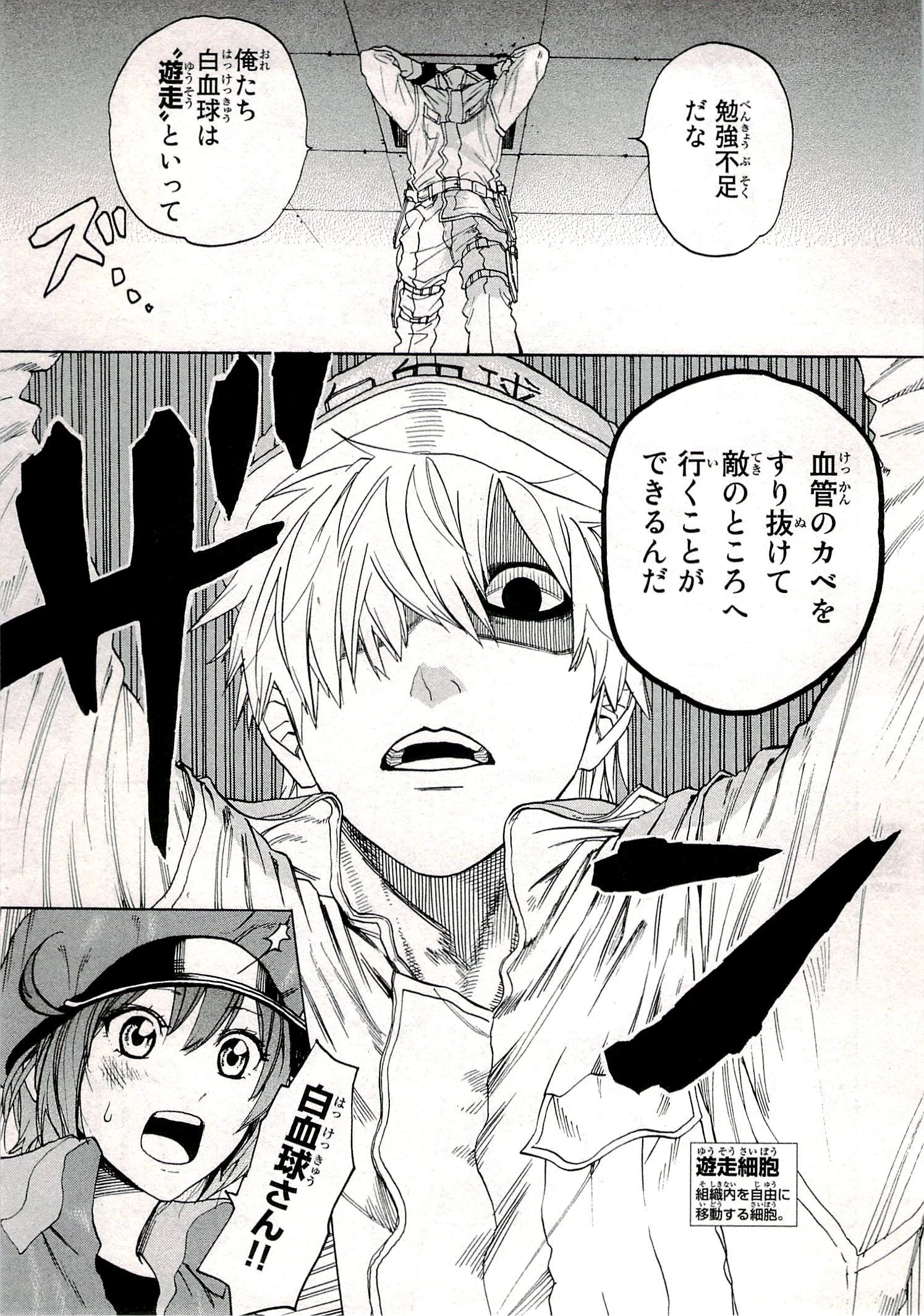 はたらく細胞 第1話 - 39