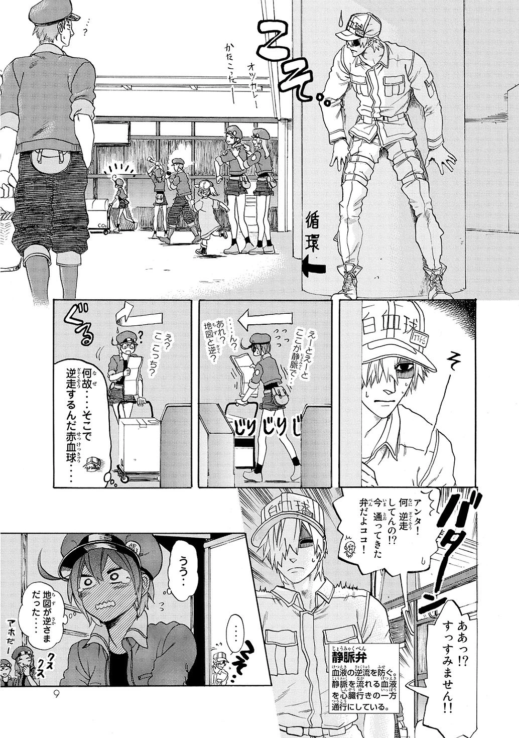 はたらく細胞 第10話 - 9