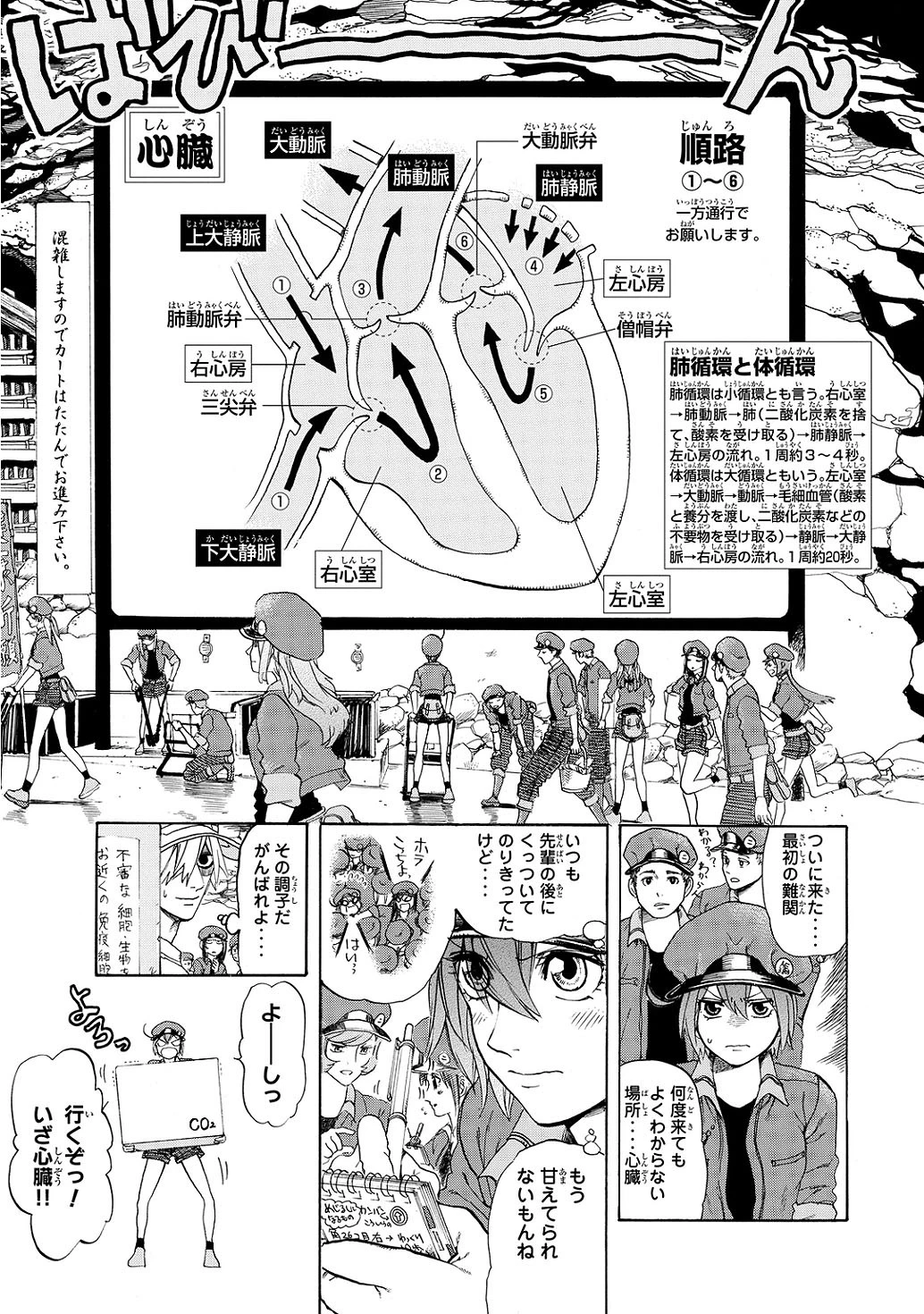 はたらく細胞 第10話 - 11