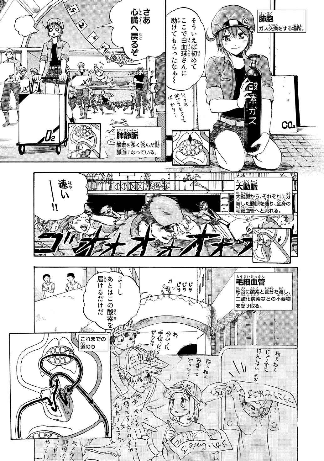 はたらく細胞 第10話 - 14