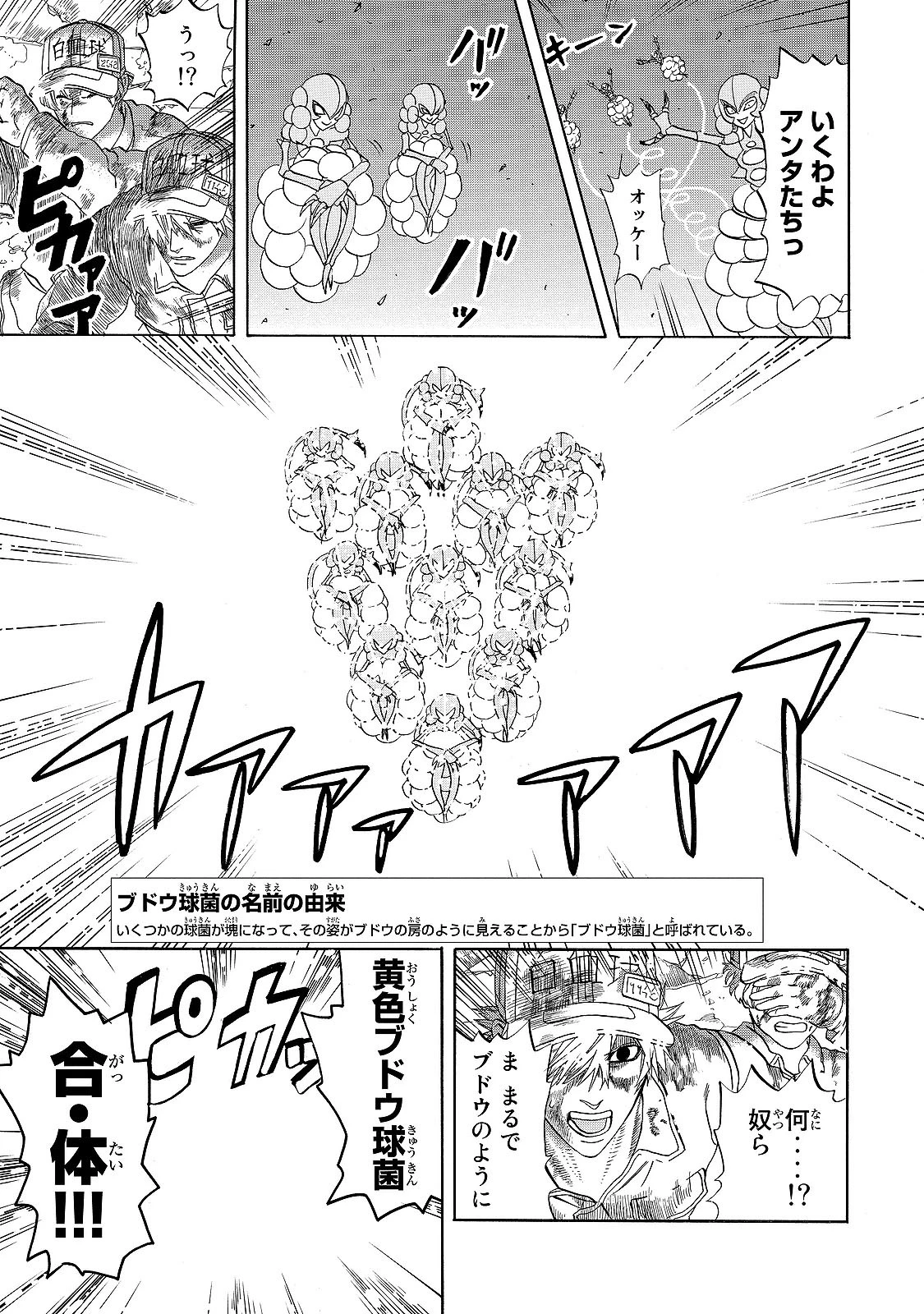 はたらく細胞 第15話 - 13
