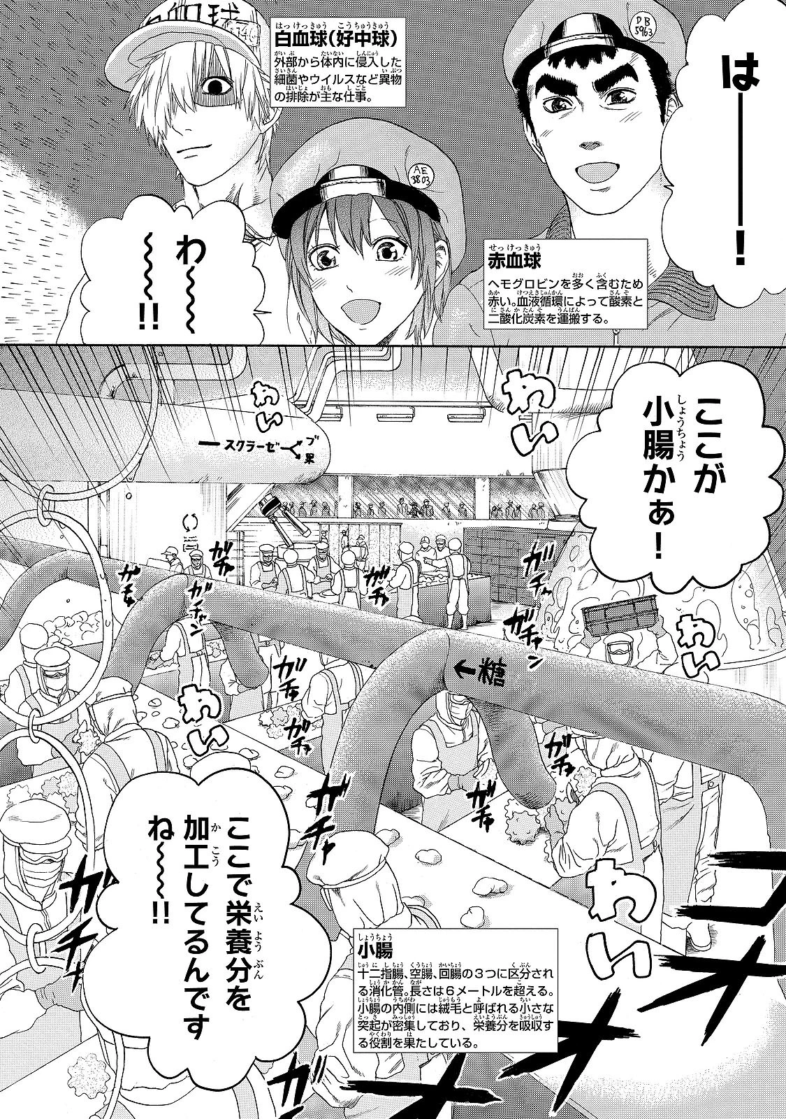 はたらく細胞 第19話 - 2