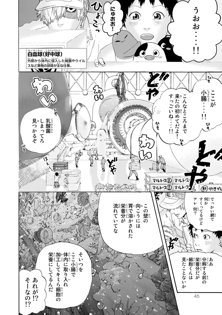 はたらく細胞 第21話 - 2