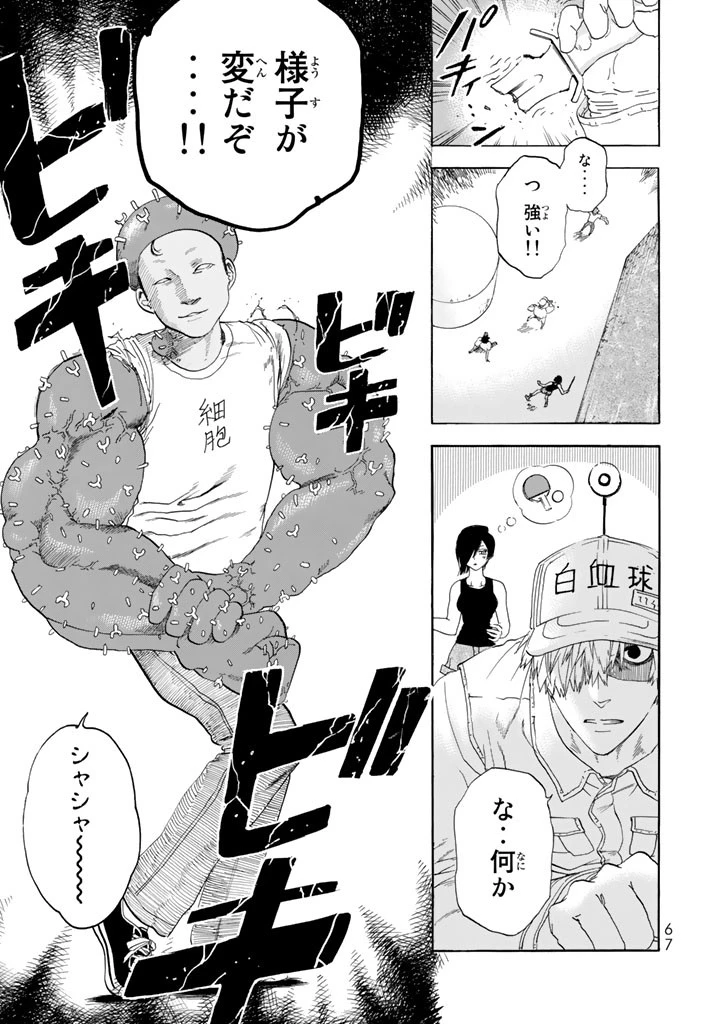 はたらく細胞 第21話 - 23
