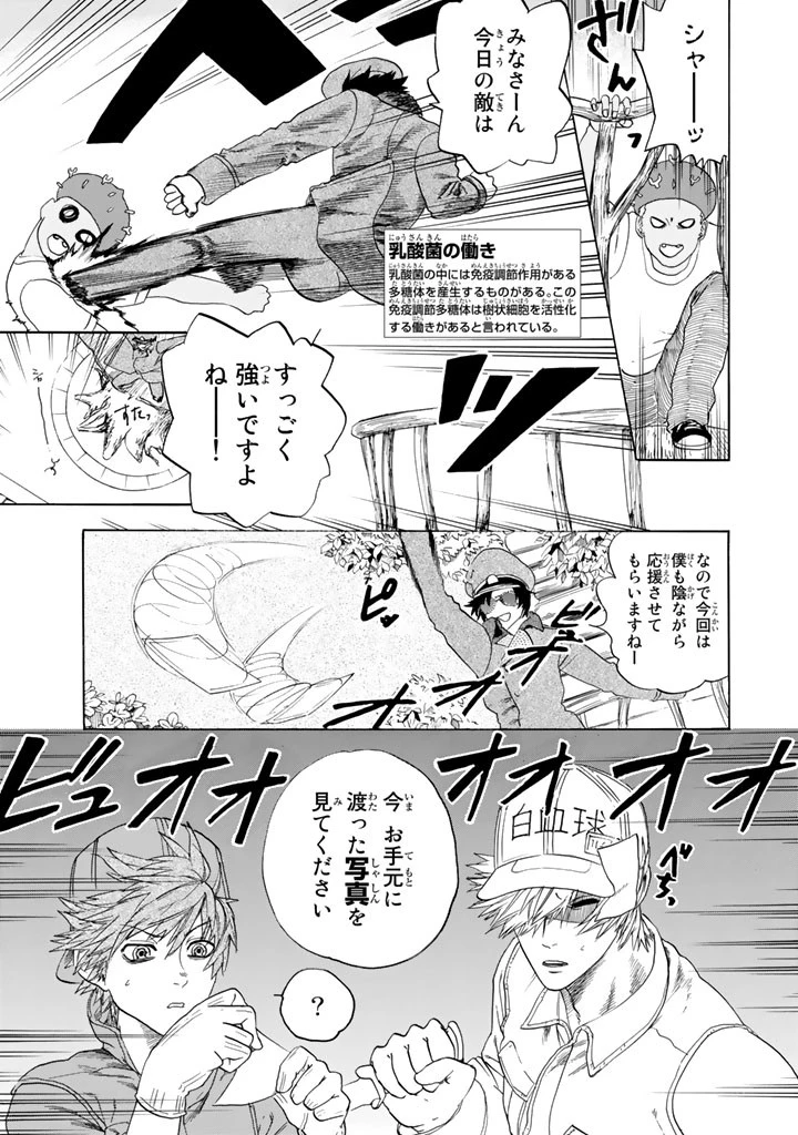 はたらく細胞 第22話 - 15
