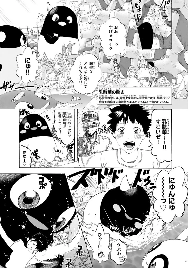 はたらく細胞 第25話 - 37