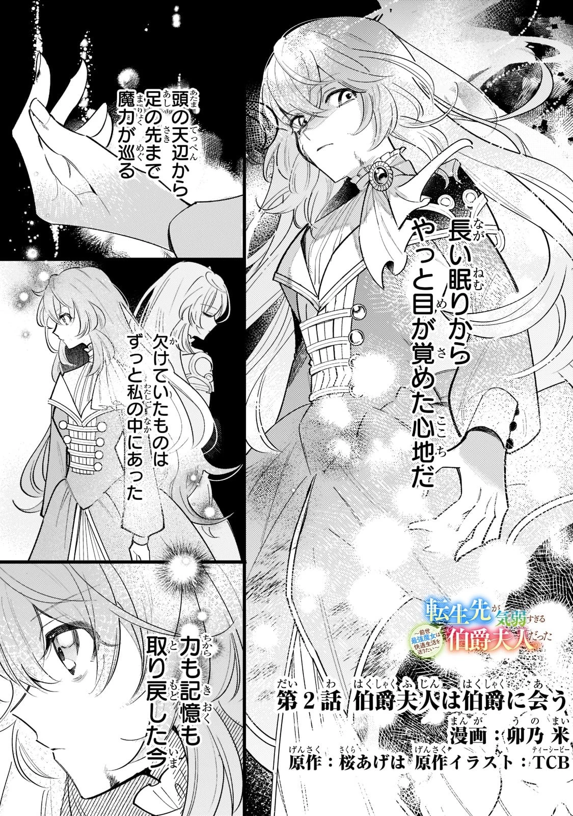 転生先が気弱すぎる伯爵夫人だった～前世最強魔女は快適生活を送りたい～ 第2話 - 3
