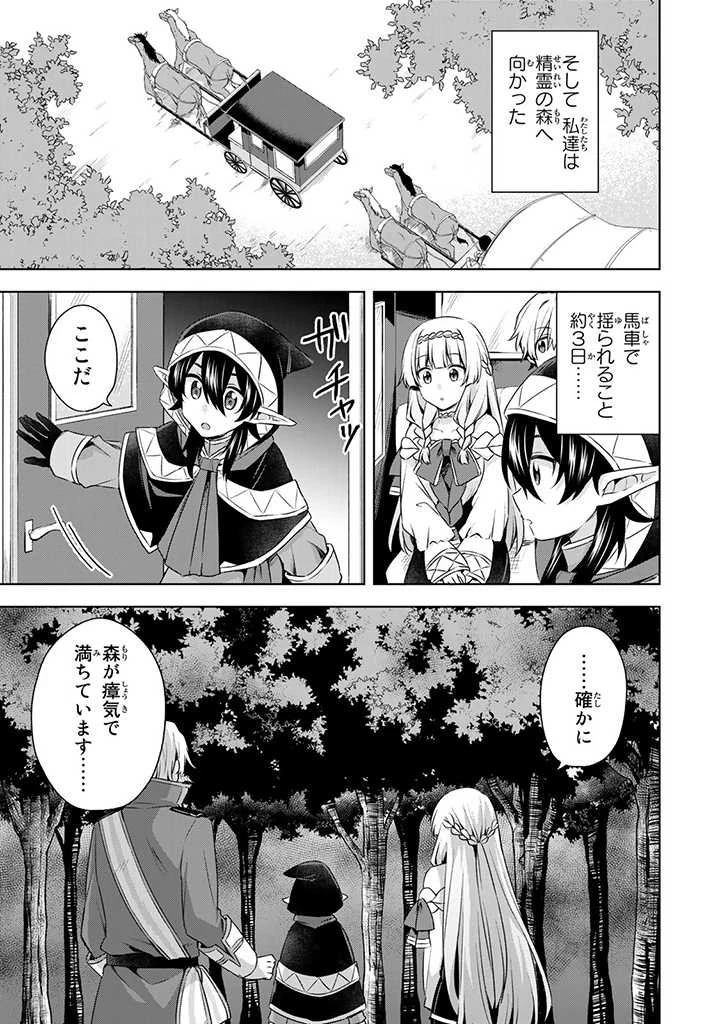 真の聖女である私は追放されました。だからこの国はもう終わりです 第27.1話 - 13