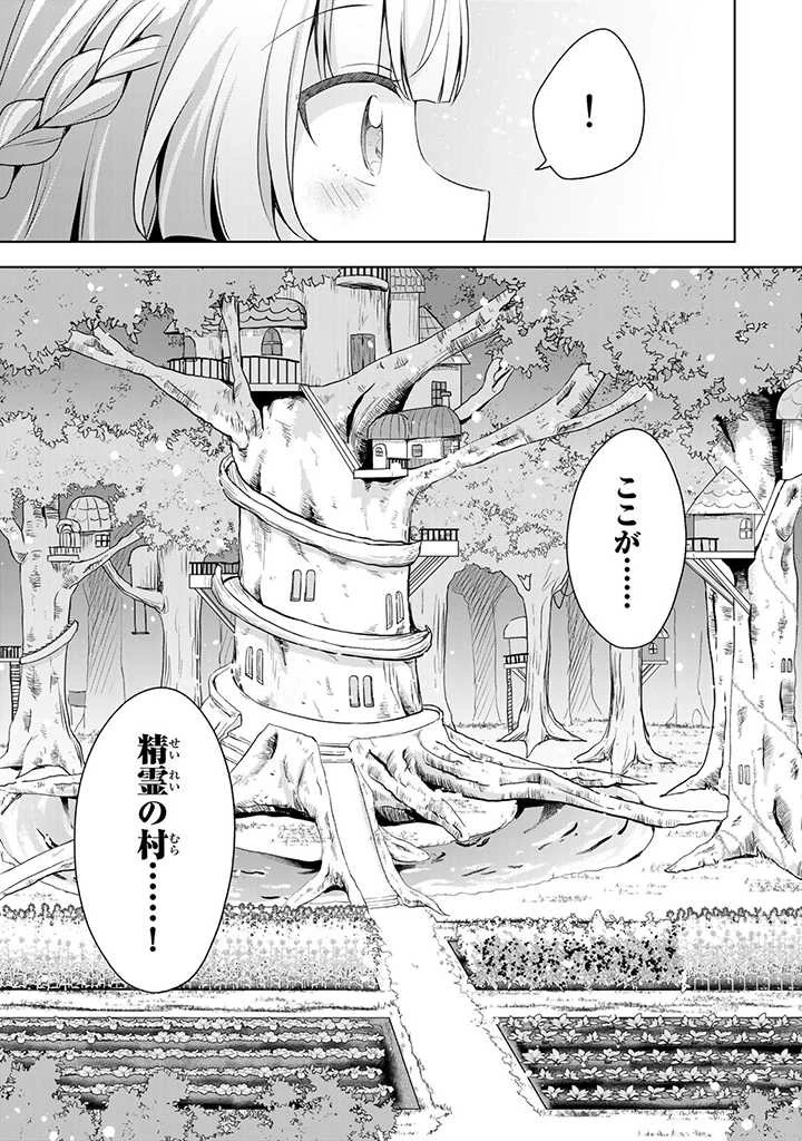真の聖女である私は追放されました。だからこの国はもう終わりです 第28.1話 - 5