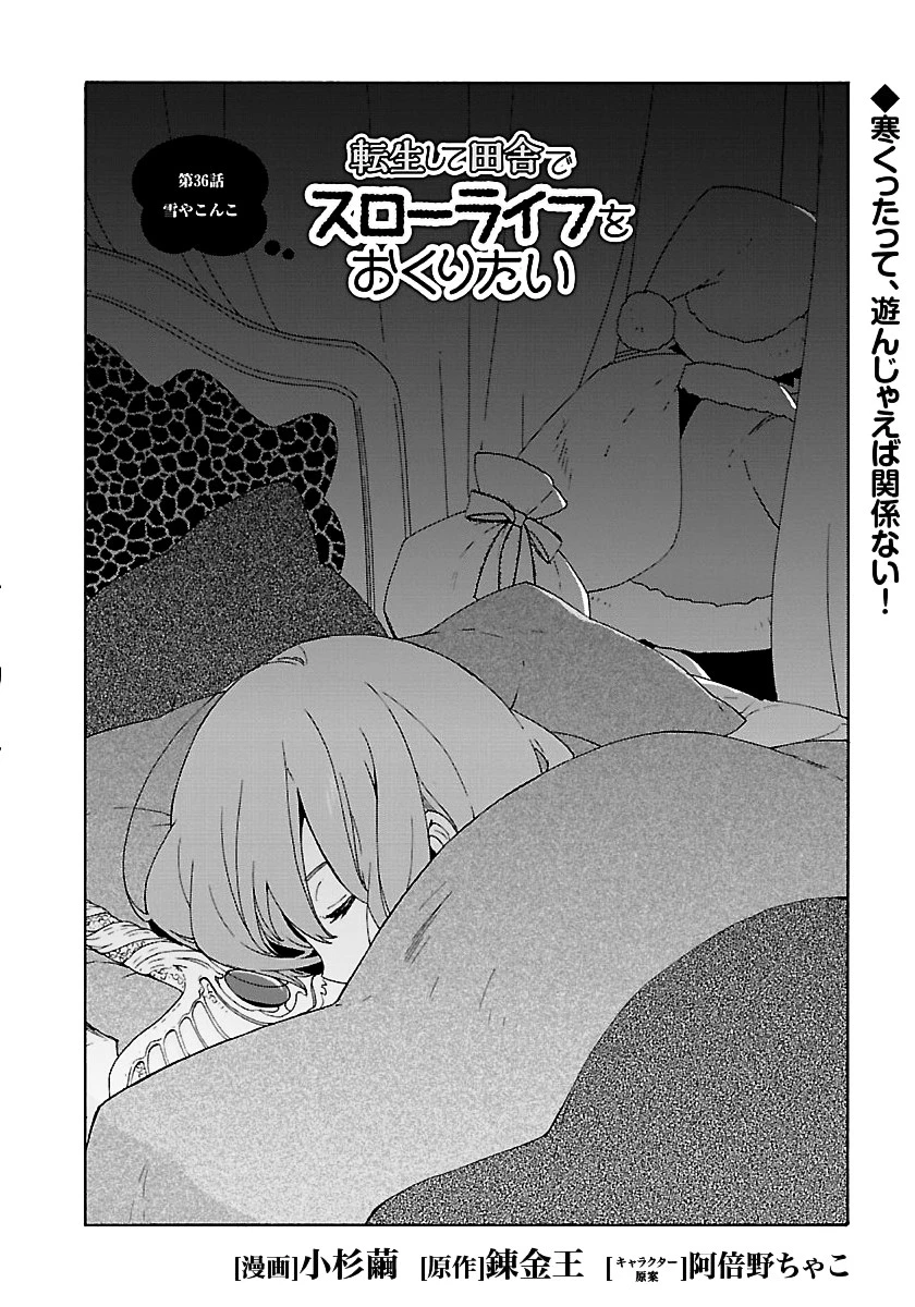 転生して田舎でスローライフをおくりたい 第36話 - 2