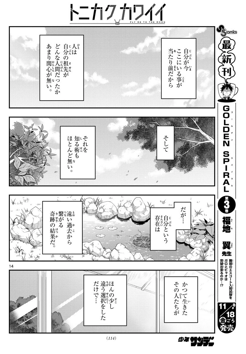 トニカクカワイイ 第213話 - 14