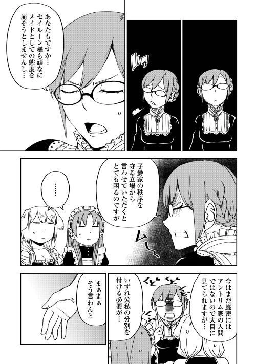 異世界転生騒動記 第48話 - 13