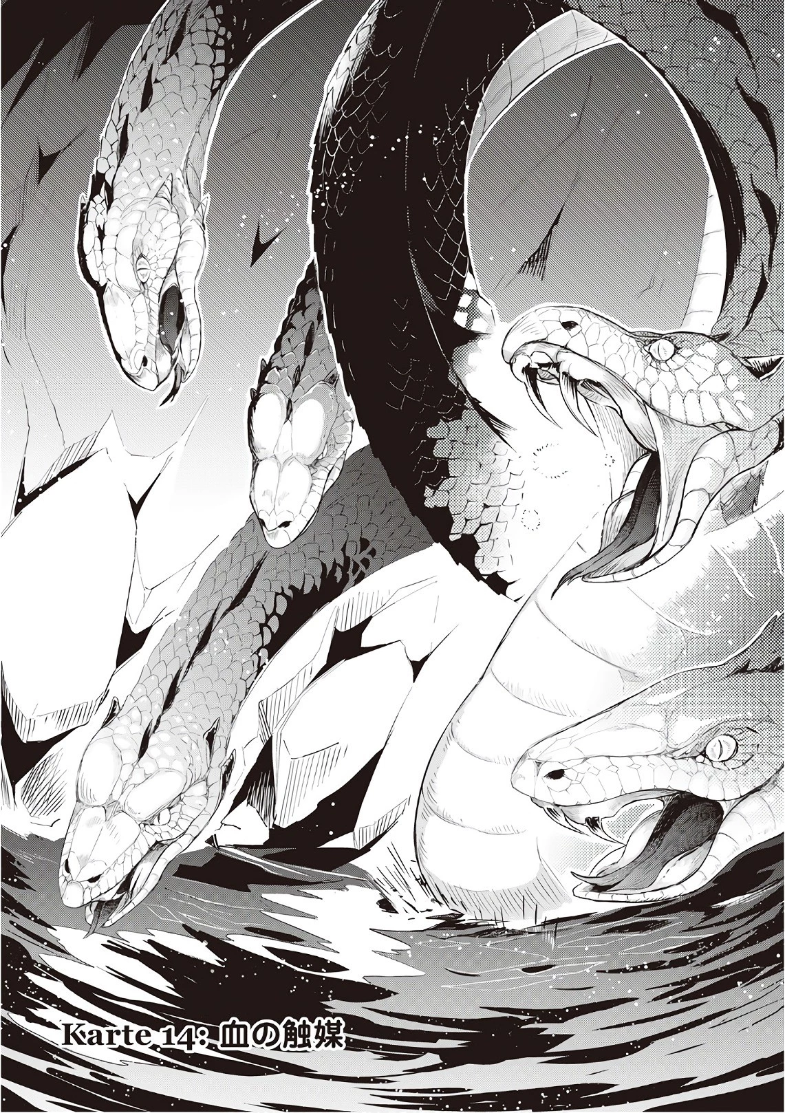 獣医さんのお仕事 IN異世界 第14話 - 1