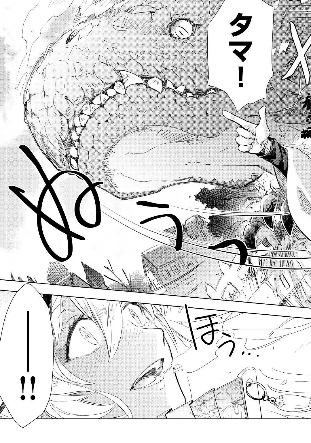 獣医さんのお仕事 IN異世界 第56話 - 17