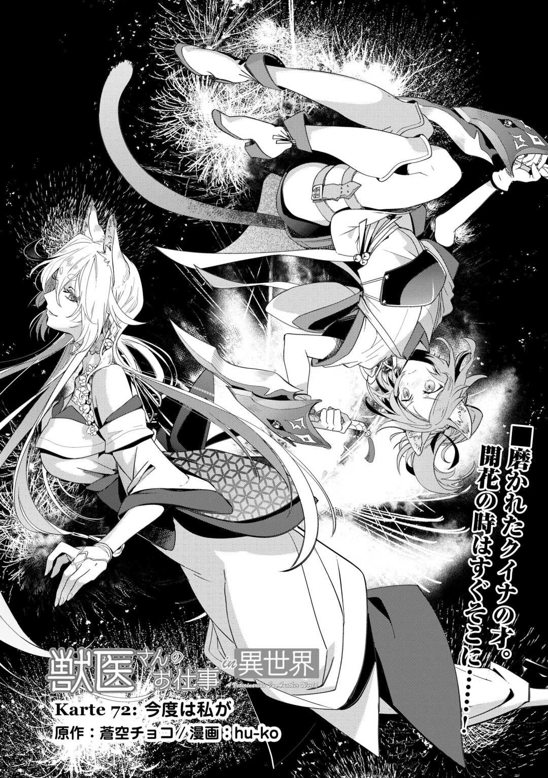 獣医さんのお仕事 IN異世界 第72話 - 1