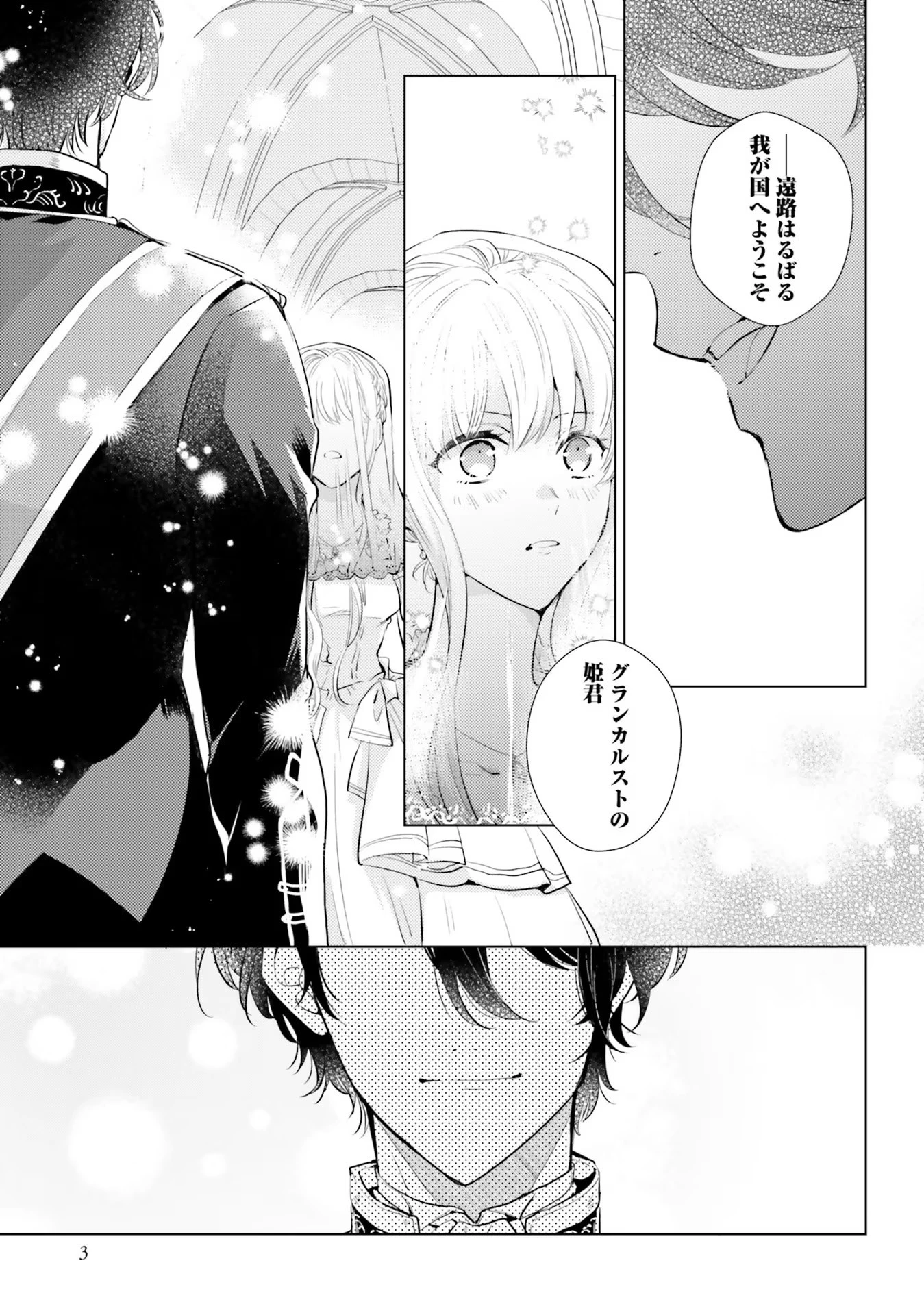 異世界から聖女が来るようなので、邪魔者は消えようと思います 第1話 - 1