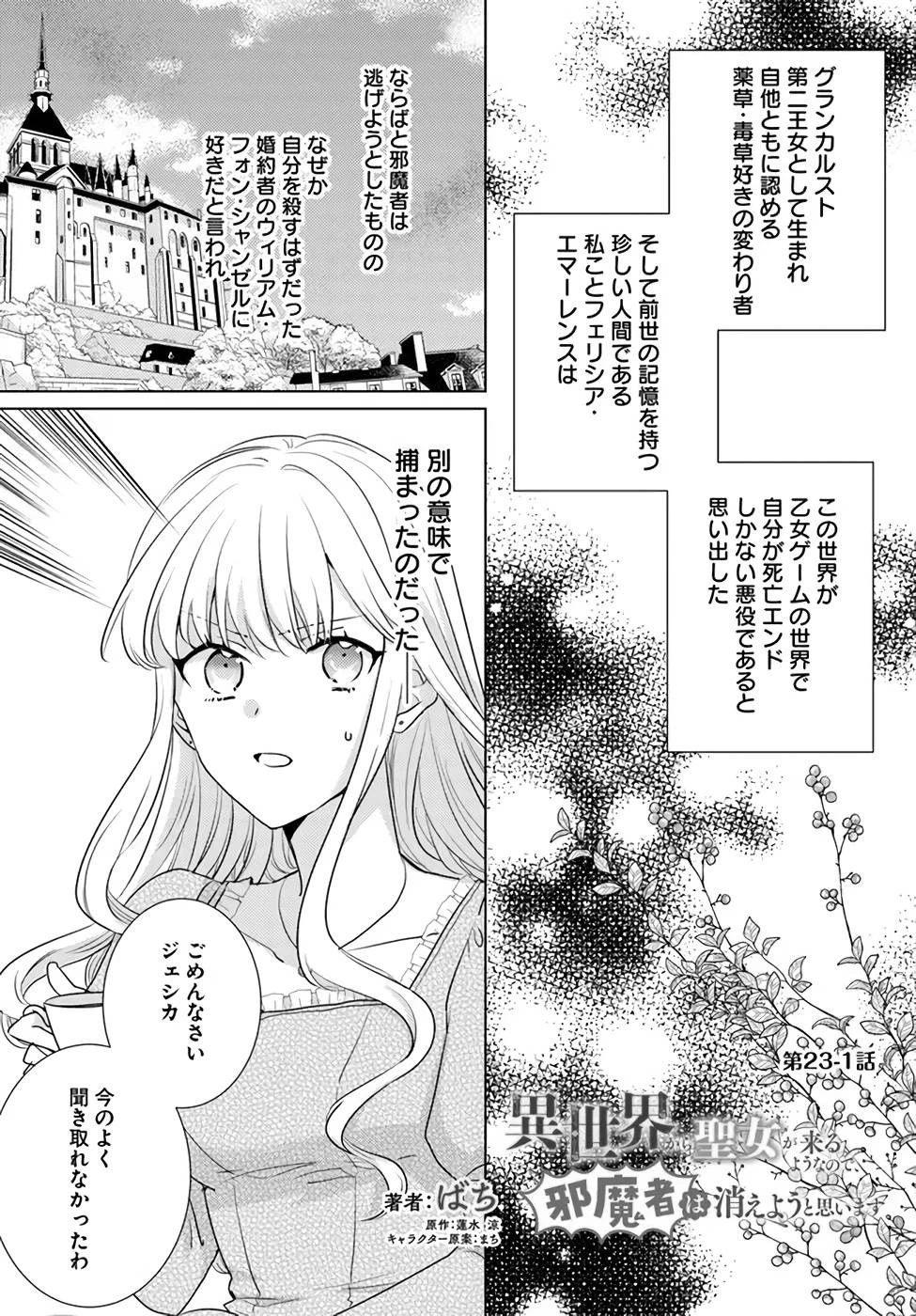 異世界から聖女が来るようなので、邪魔者は消えようと思います 第23話 - 1