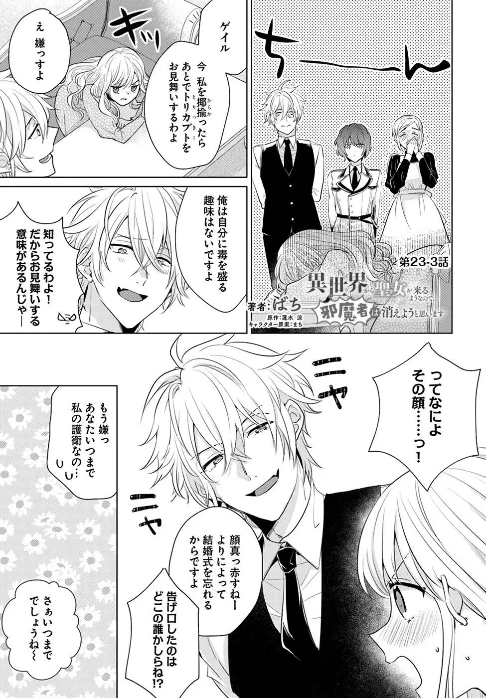 異世界から聖女が来るようなので、邪魔者は消えようと思います 第23話 - 15