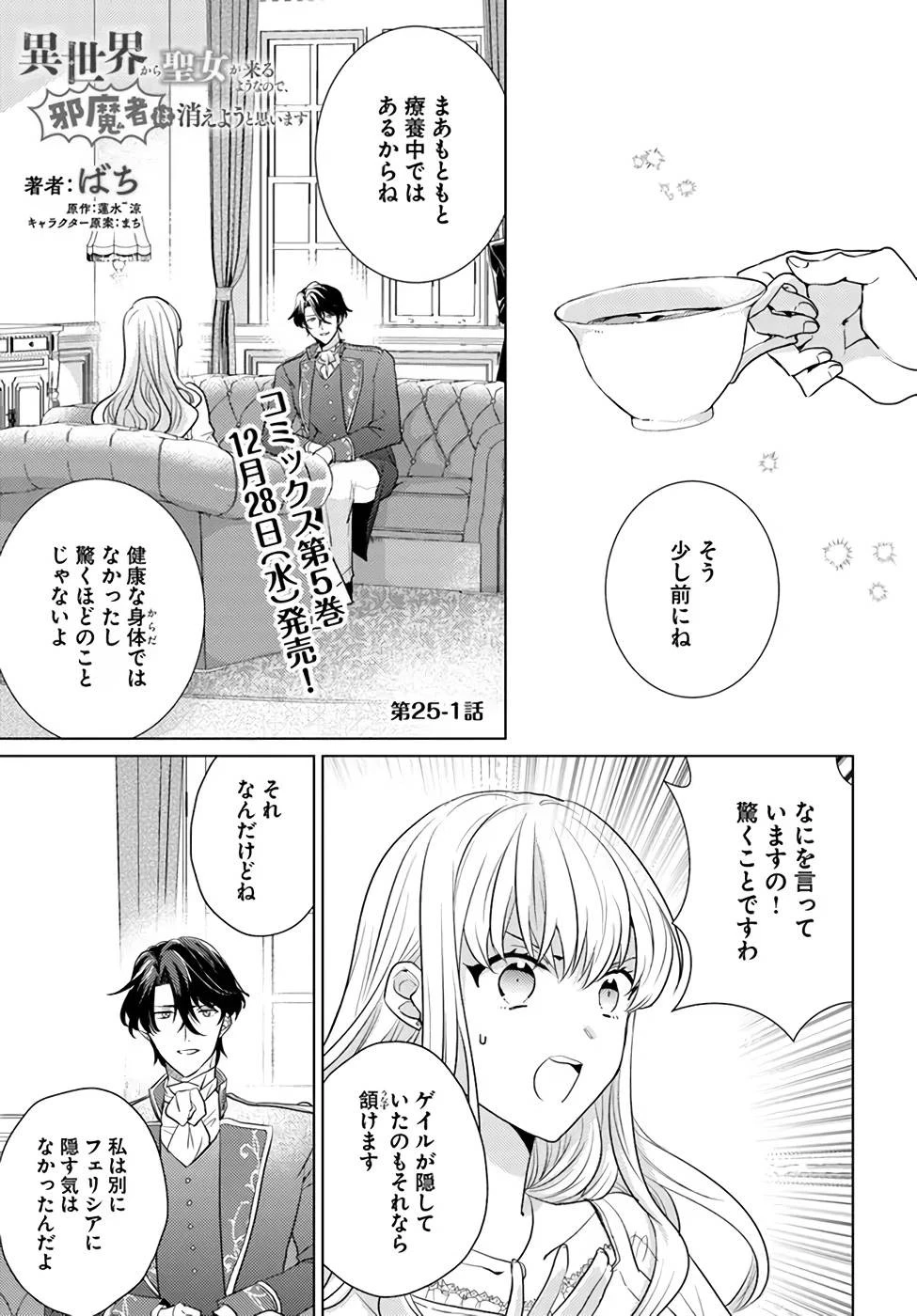 異世界から聖女が来るようなので、邪魔者は消えようと思います 第25話 - 1