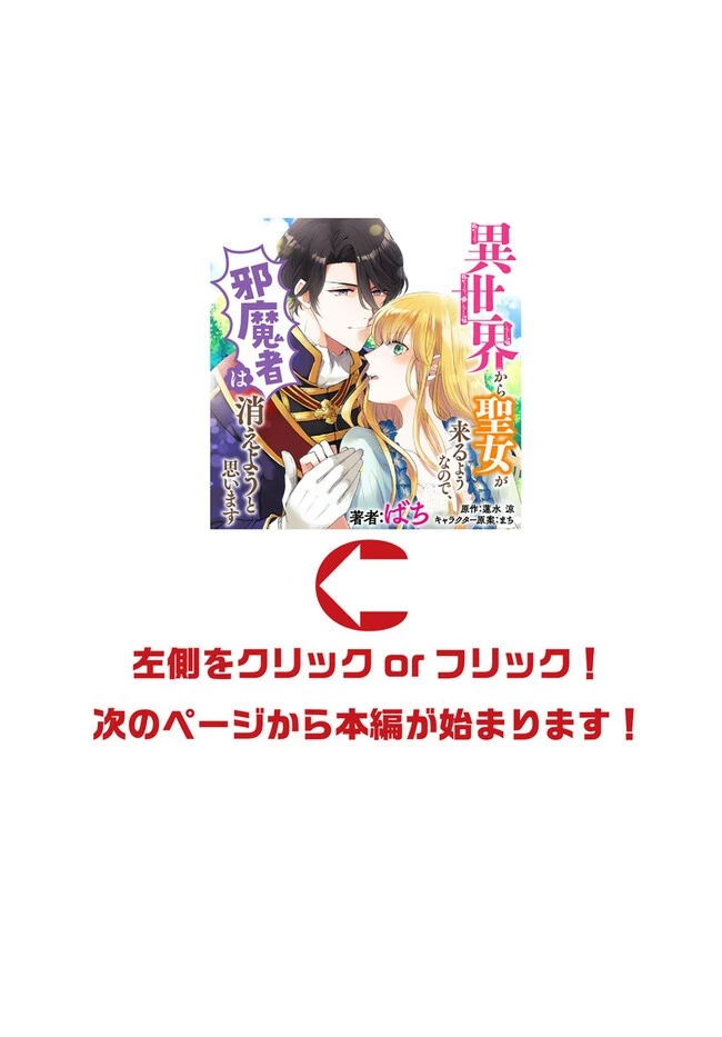 異世界から聖女が来るようなので、邪魔者は消えようと思います 第28話 - 40