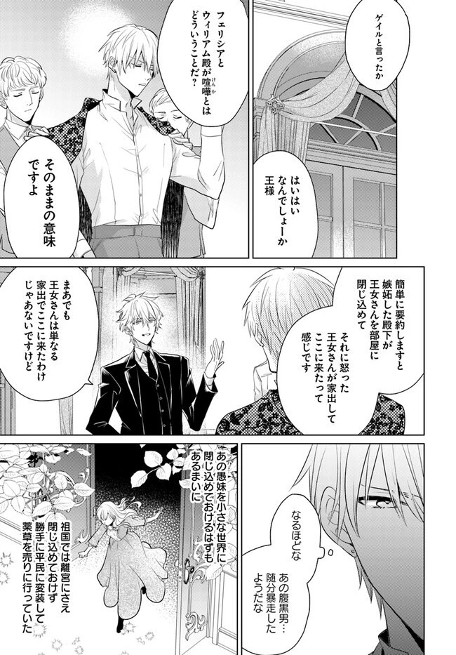 異世界から聖女が来るようなので、邪魔者は消えようと思います 第29.1話 - 3