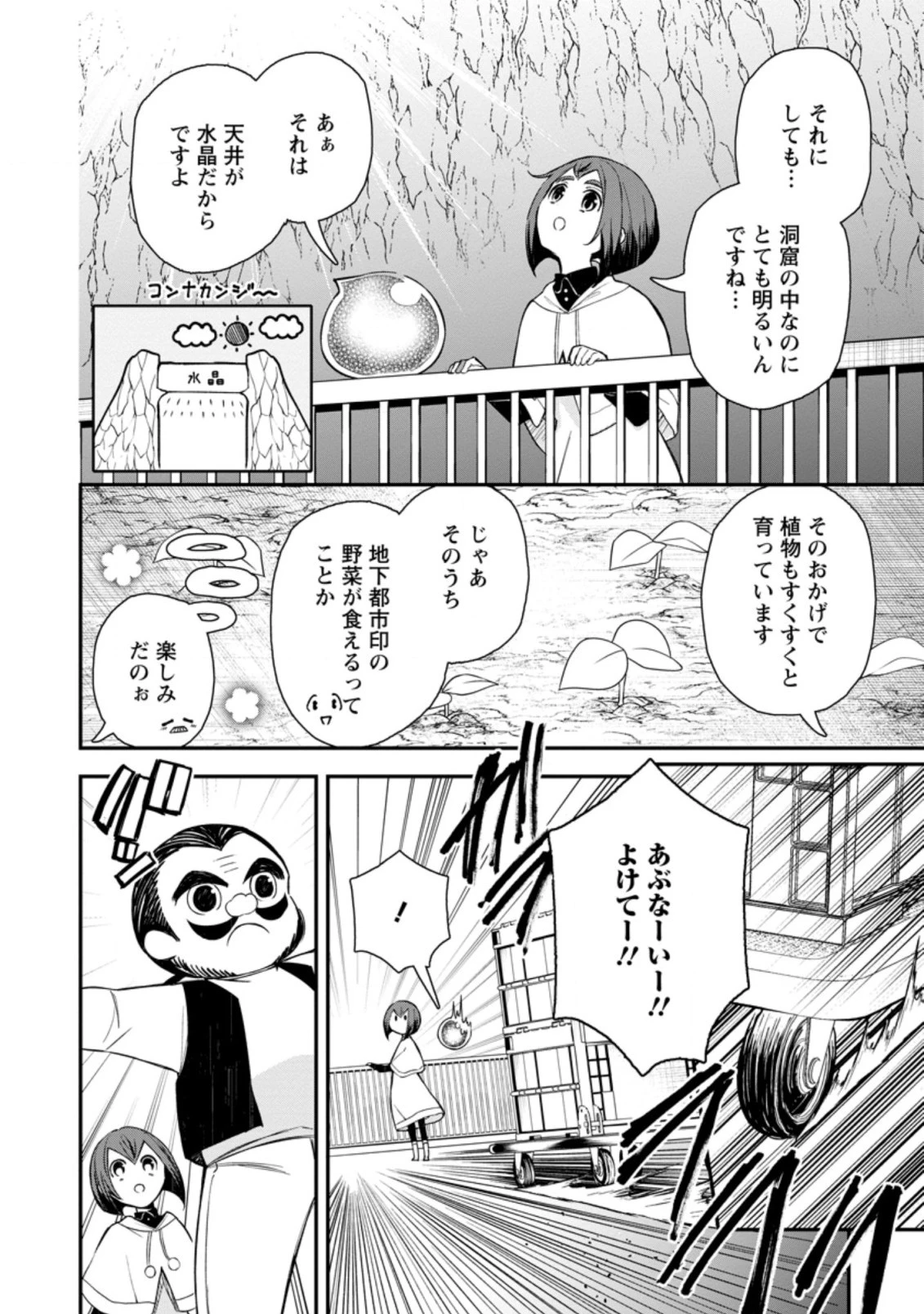 村人転生 最強のスローライフ 第43.1話 - 11