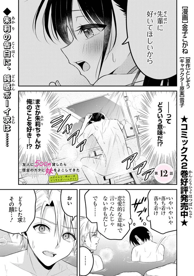 友人に500円貸したら借金のカタに妹をよこしてきたのだけれど、俺は一体どうすればいいんだろう 第12話 - 1