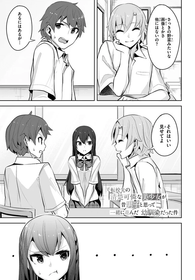 転校先の清楚可憐な美少女が、昔男子と思って一緒に遊んだ幼馴染だった件 第15話 - 1