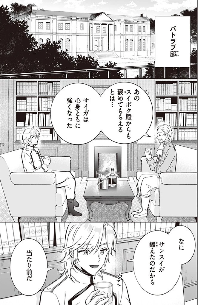 地味な剣聖はそれでも最強です 第69話 - 13