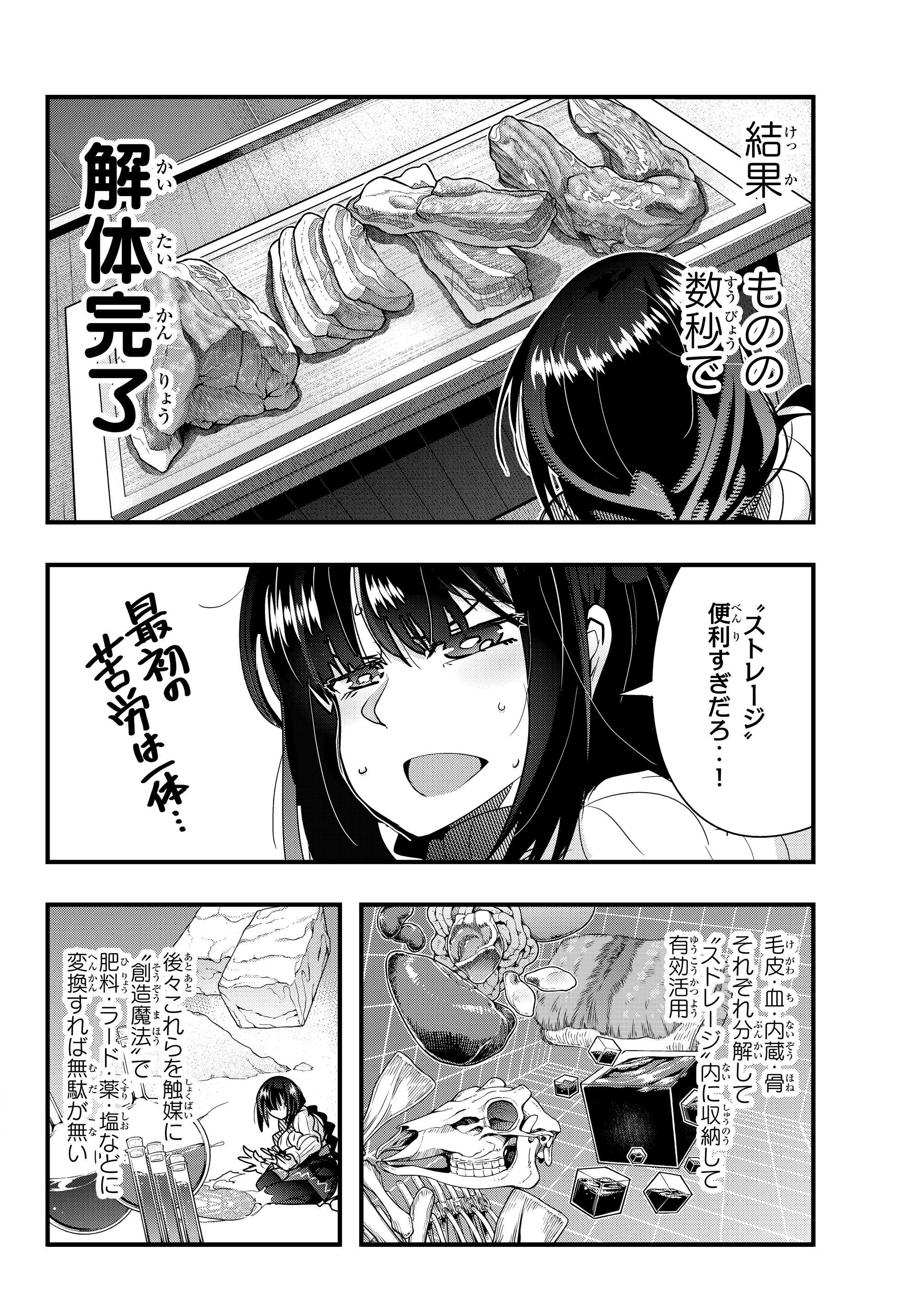 よくわからないけれど異世界に転生していたようです 第4.3話 - 6