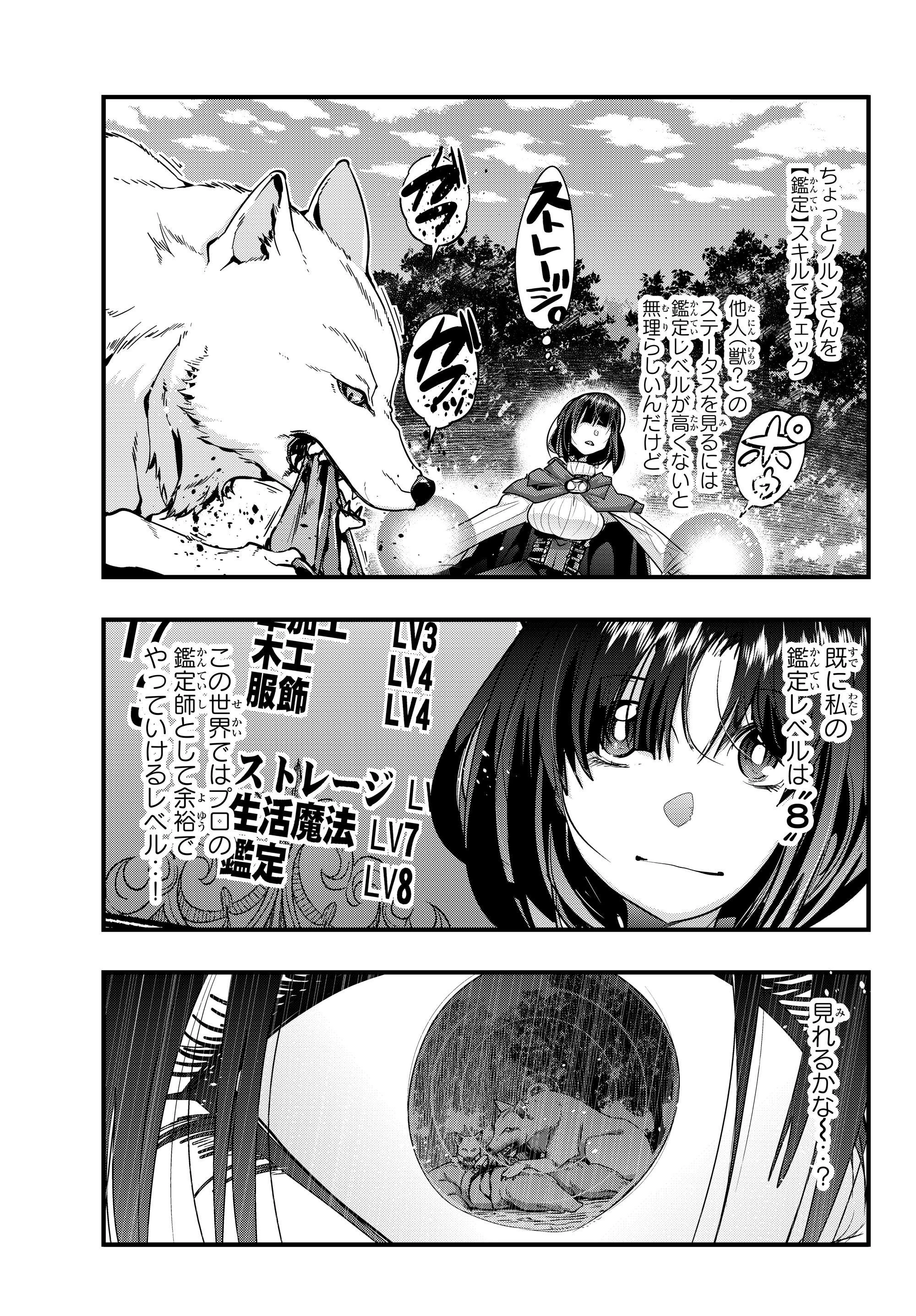 よくわからないけれど異世界に転生していたようです 第6話 - 9