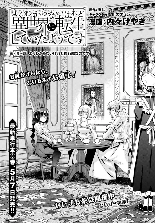 よくわからないけれど異世界に転生していたようです 第30話 - 2