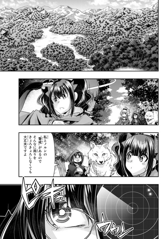 よくわからないけれど異世界に転生していたようです 第31話 - 11
