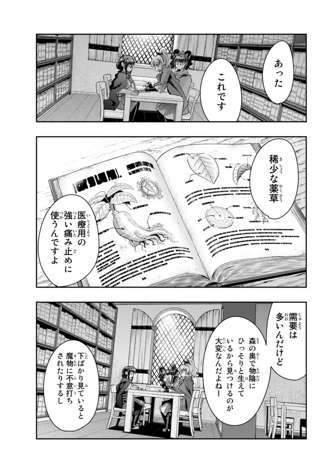 よくわからないけれど異世界に転生していたようです 第31.2話 - 9