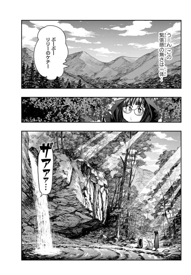よくわからないけれど異世界に転生していたようです 第31.2話 - 13