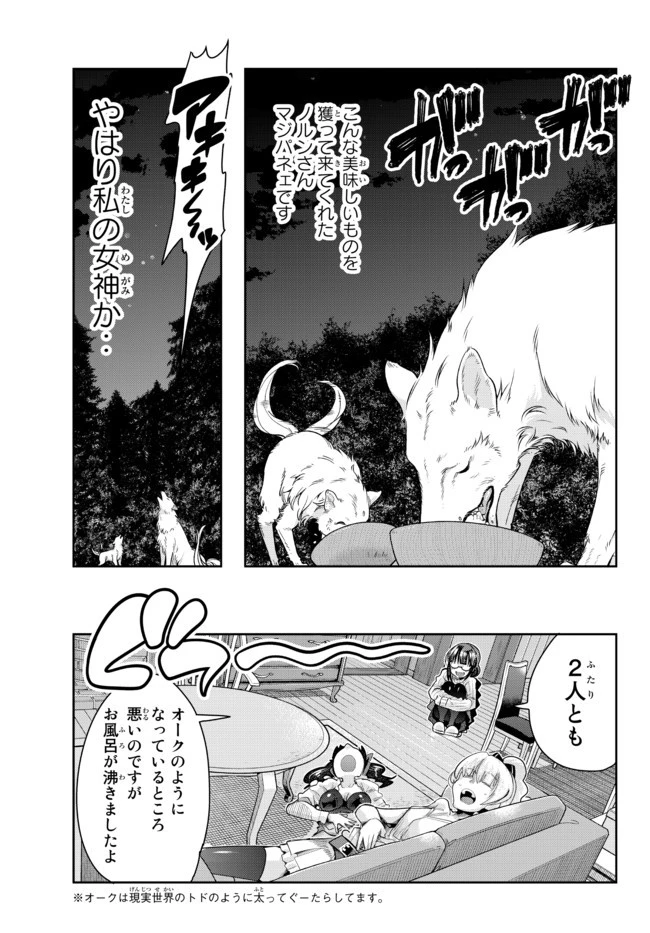 よくわからないけれど異世界に転生していたようです 第32.2話 - 13