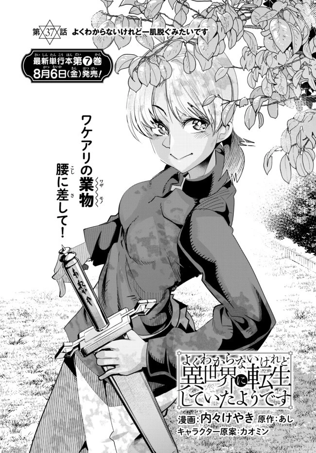 よくわからないけれど異世界に転生していたようです 第37話 - 2