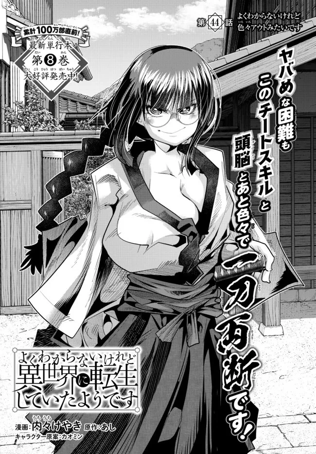 よくわからないけれど異世界に転生していたようです 第44話 - 2