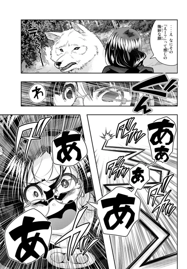 よくわからないけれど異世界に転生していたようです 第50.2話 - 5