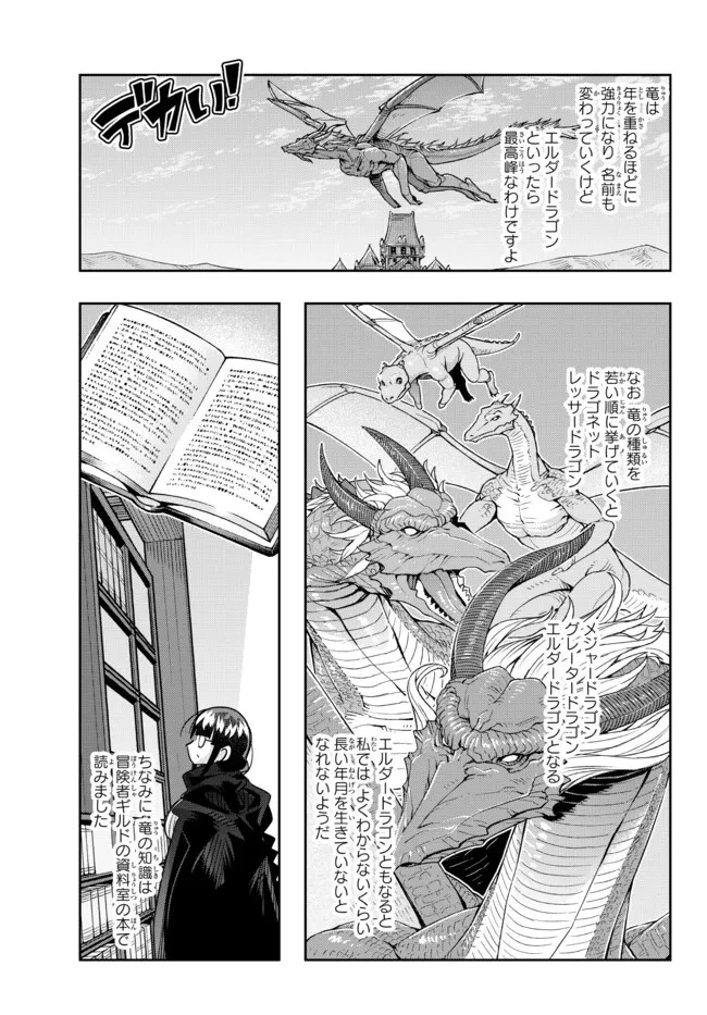 よくわからないけれど異世界に転生していたようです 第70.1話 - 3