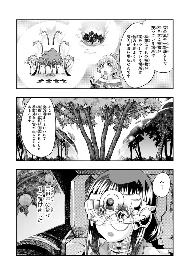 よくわからないけれど異世界に転生していたようです 第98.1話 - 4