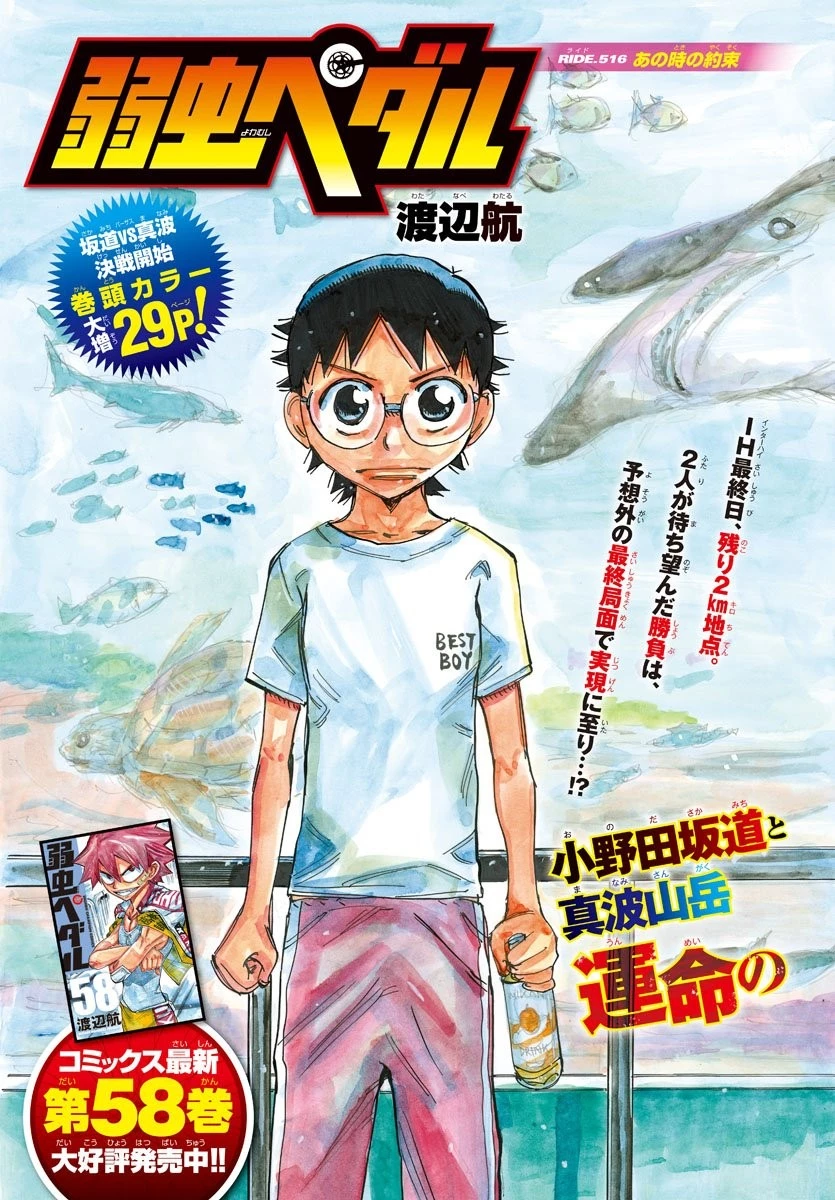 弱虫ペダル 第516話 - 3
