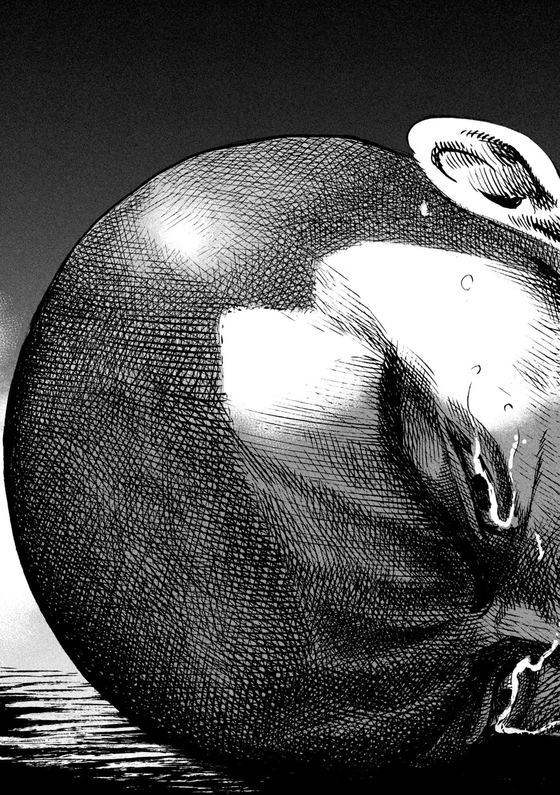 センゴク権兵衛 第218話 - 17