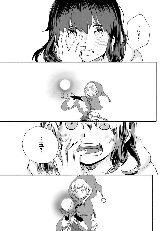 ほのぼの異世界転生デイズ～レベルカンスト、アイテム持ち越し！ 私は最強幼女です～ 第1話 - 13