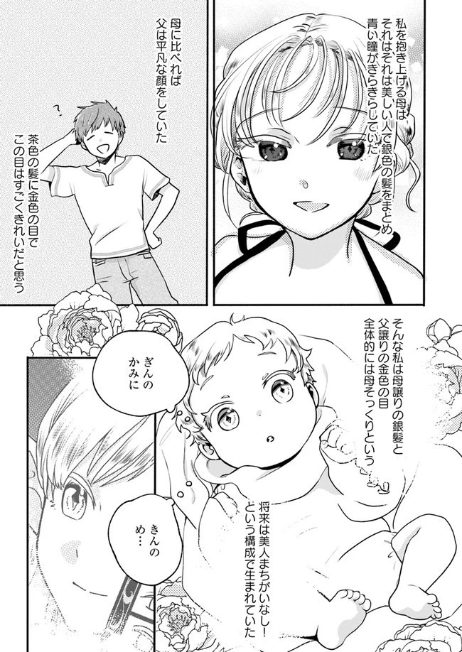 ほのぼの異世界転生デイズ～レベルカンスト、アイテム持ち越し！ 私は最強幼女です～ 第1話 - 19