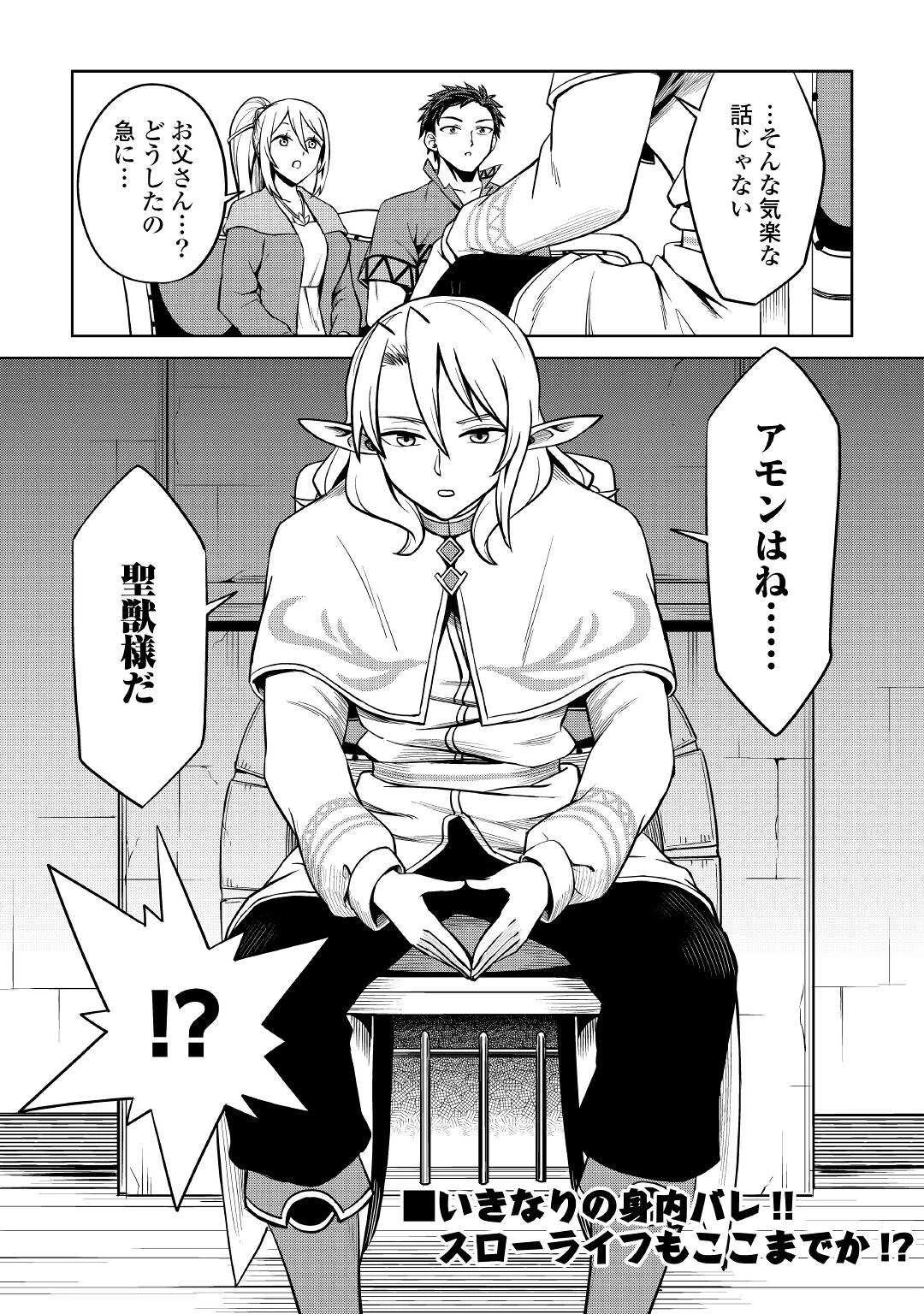 異世界じゃスローライフはままならない～聖獣の主人は島育ち～ 第3話 - 27