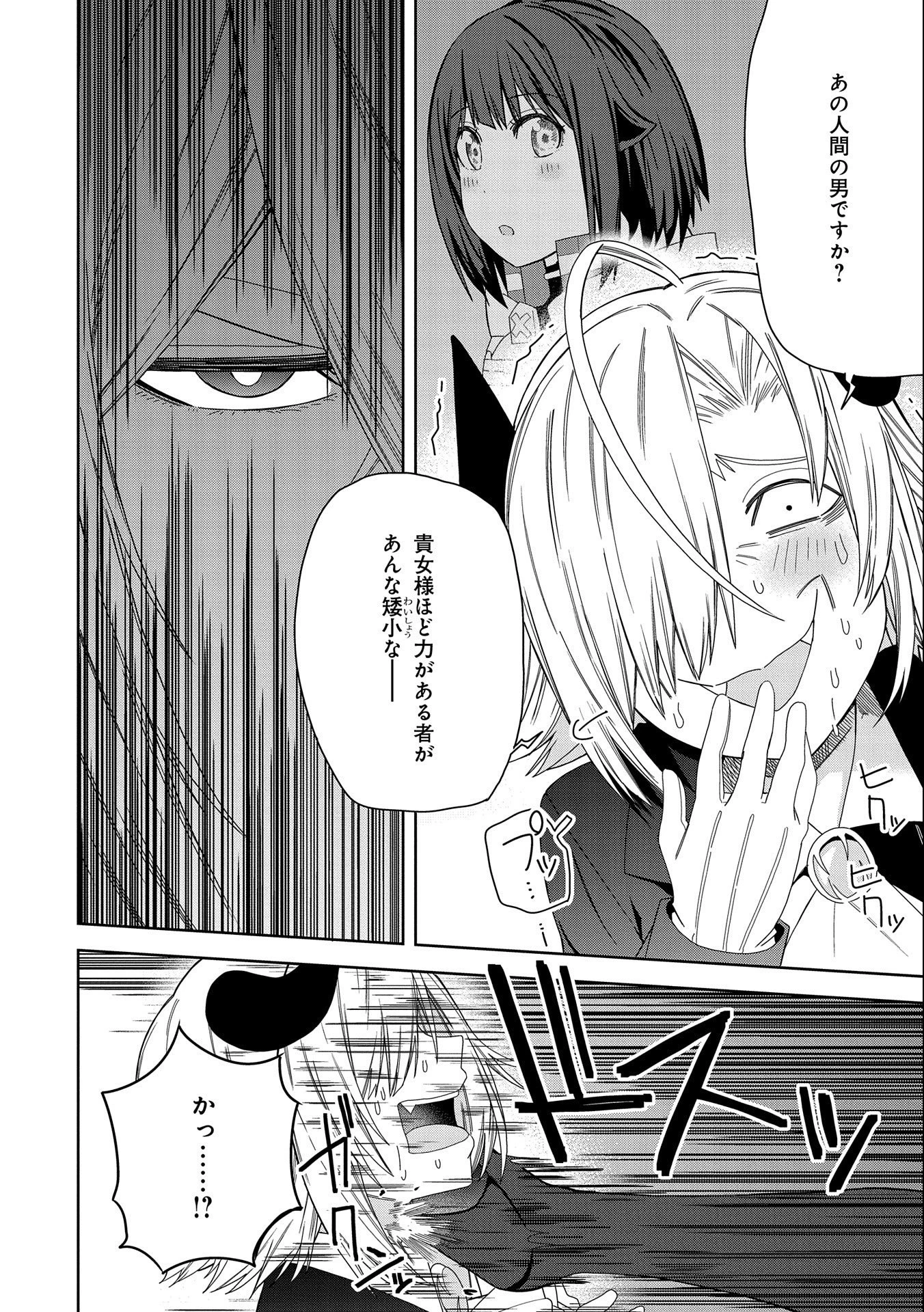 願いを叶えてもらおうと悪魔を召喚したけど、可愛かったので結婚しました　～悪魔の新妻～ 第29話 - 14