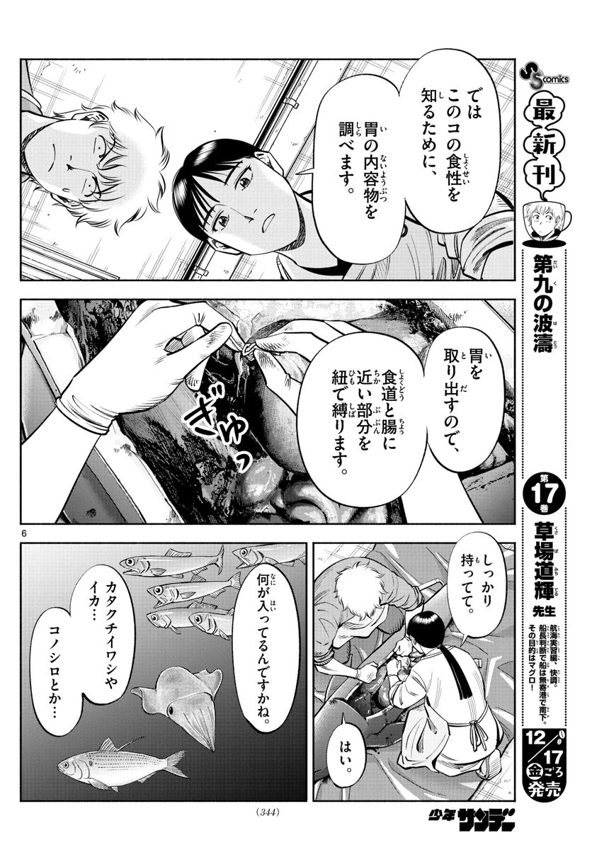 第九の波濤 第186話 - 6